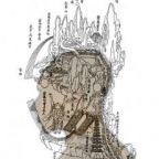 lámina imagen calendario web